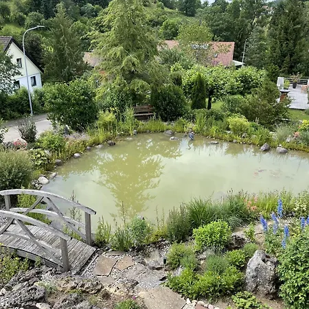 Am Steinbach Apartment Albstadt